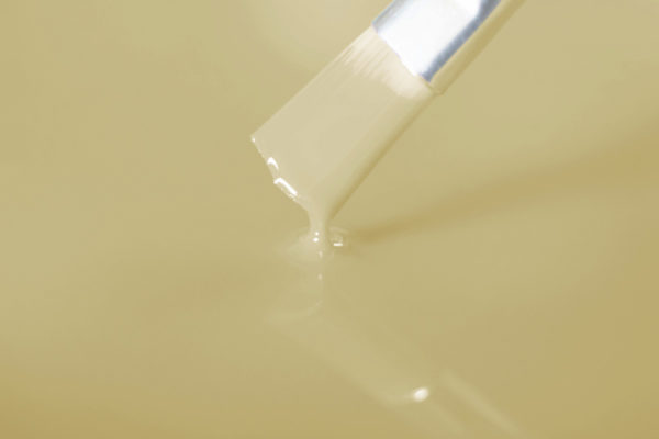 RAL 1014 ՑՈՐԵՆԱԳՈՒՅՆ (Ivory) մածուկային գունանյութ