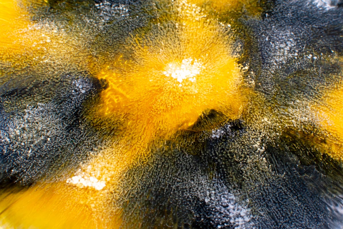 ԱՐԵՎԻ ԴԵՂԻՆ (TOPAZ YELLOW) ալկոհոլային գունանյութ - Image 2